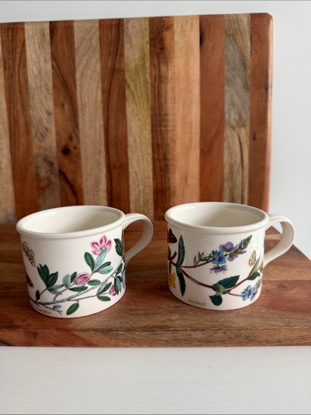 Portmeirion Botanic Garden Speedwell and Rhododendron Small Drum Mugs (2)